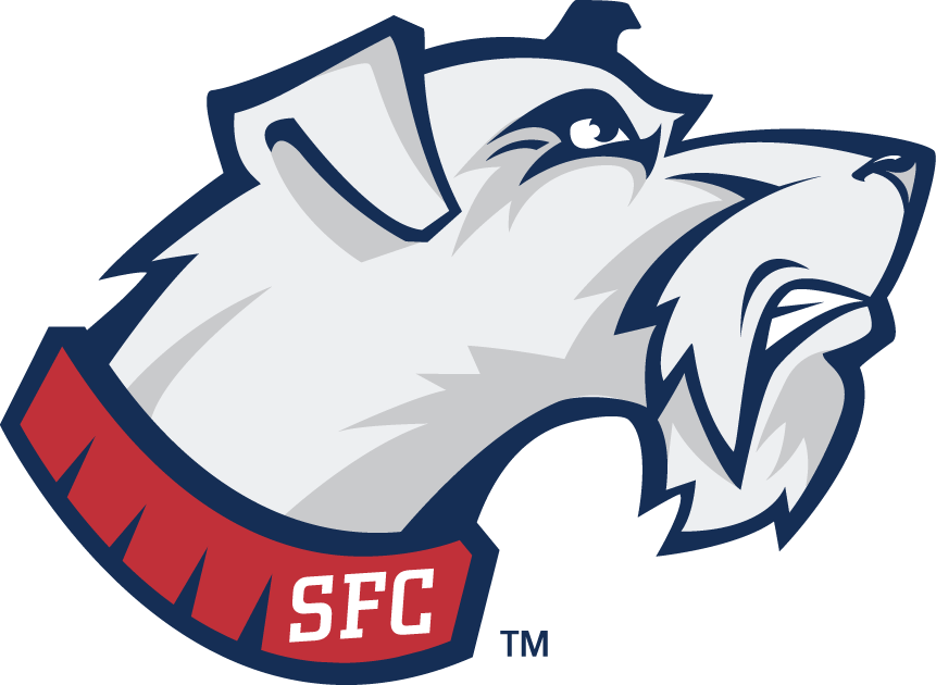 St. Francis Terriers 2001-2013 Secondary Logo diy DTF decal sticker